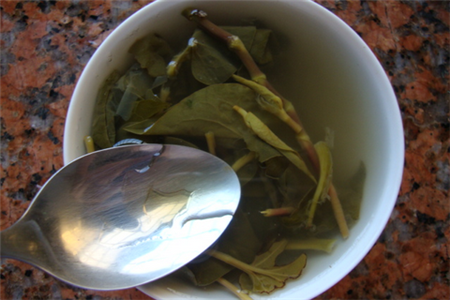 魚腥草泡茶有什麼好處 魚腥草的功效和作用 魚腥草泡茶有什麼好處