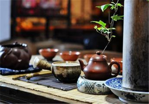 菊花醉黑茶的註意事項