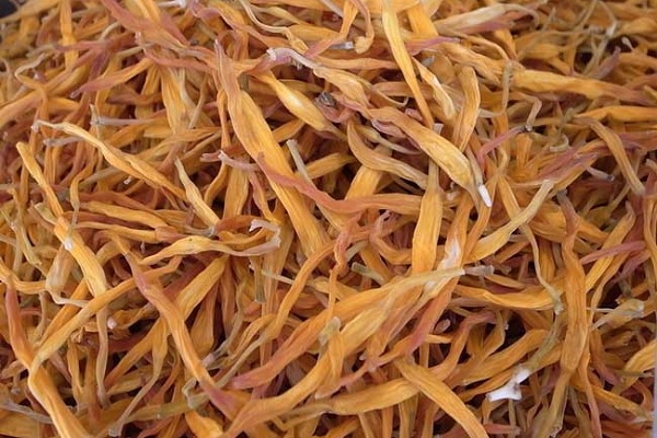 孕婦能吃黃花菜嗎 孕婦吃黃花菜註意事項