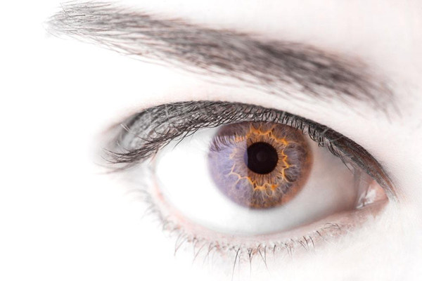 導致視網膜色素變性的病因