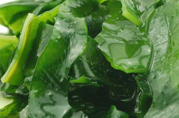 螺旋藻減肥,螺旋藻的吃法,螺旋藻的功效與作用,螺旋藻,減肥