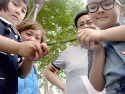 過端午 鬥百草 喜歡樂