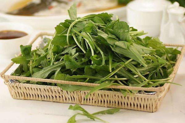 春季吃野菜要註意什麼