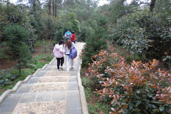 爬山的好處_爬山減肥的功效