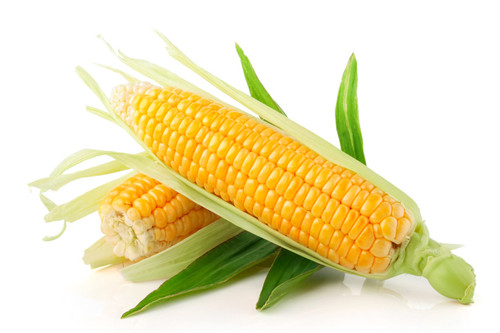 吃玉米可以減肥嗎？來看看吧