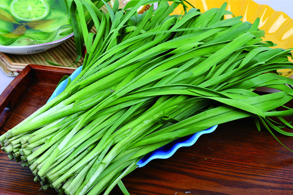 韭菜