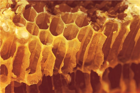 分享食用蜂蜜的六個飲食禁忌