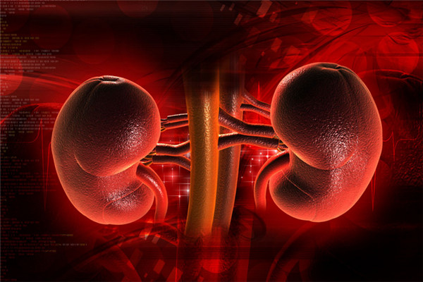 腎結石的飲食禁忌_腎結石不能吃的食物