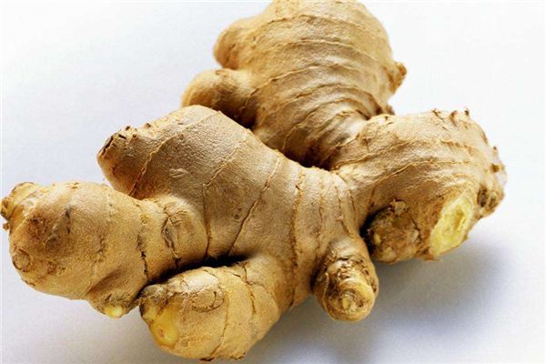 生薑的功效與作用_吃生薑的好處和壞處 生薑