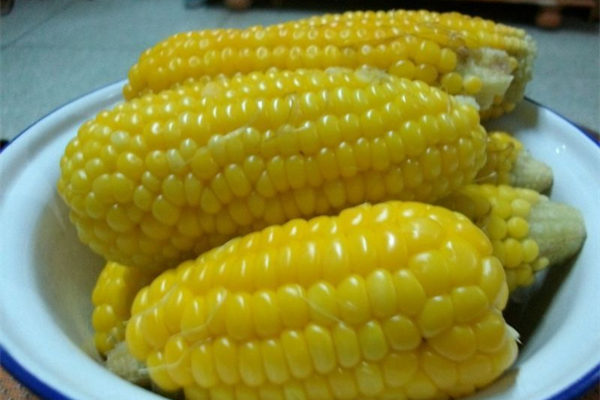 寶寶多吃玉米 健腦促成長