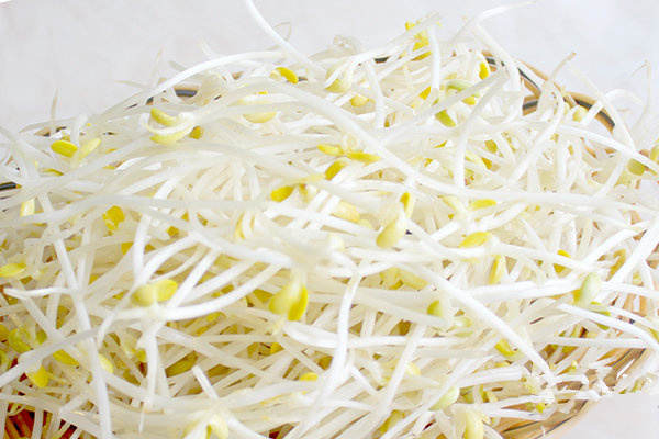 豆芽