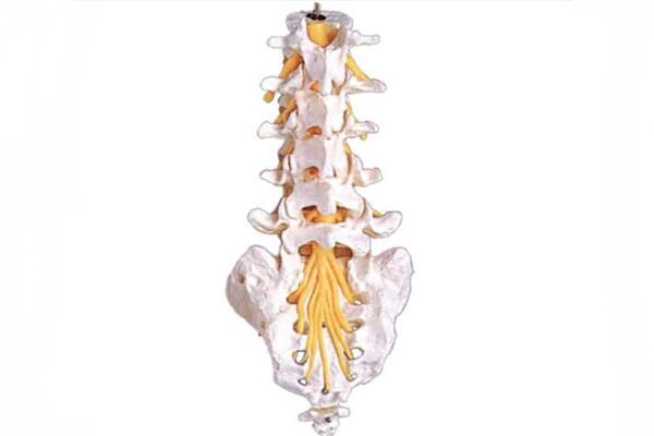 強直性脊柱炎的基本康復運動