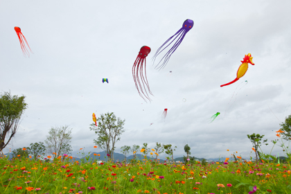 怎樣放風箏 放風箏有什麼好處
