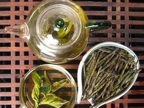 苦丁茶的保健功效