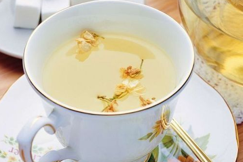 特級茉莉花茶 與“茶”的愛戀