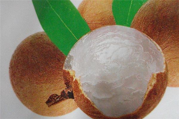 貧血的癥狀_貧血吃什麼 龍眼肉