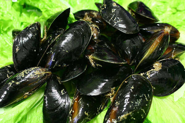 補腎效果最好的食物 一天一種換著吃