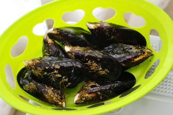 淡菜的做法