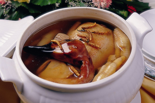 武則天的禦用藥膳 狂衰老的蟲草全鴨