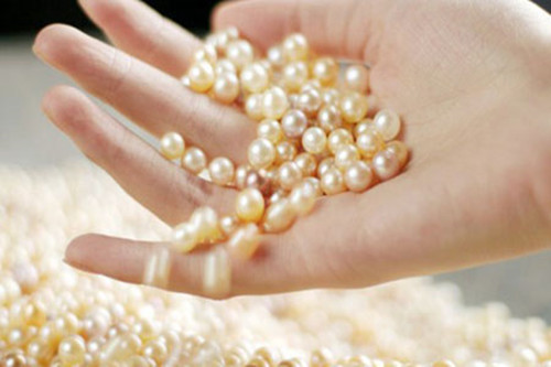 珍珠粉美白的方法  珍珠粉快速美白方法
