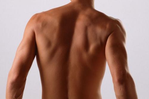 背部肌肉鍛煉方法圖解