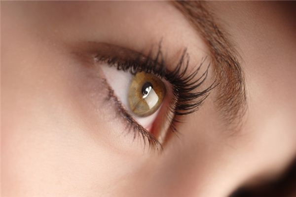 黑眼圈的形成原因_去除黑眼圈_黑眼圈怎麼辦