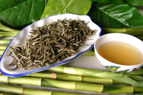 銀針茶 蕁麻疹的天然治療藥