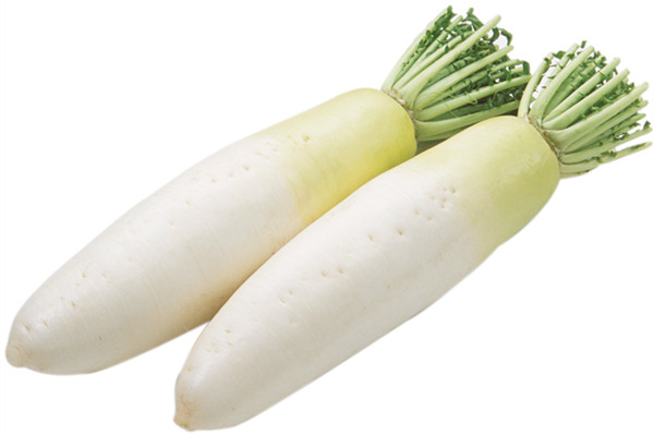 白蘿卜