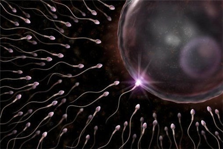 抗精子抗體會導致不孕嗎