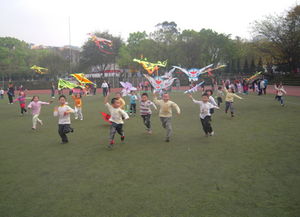 放風箏 放飛風箏 放飛歡樂