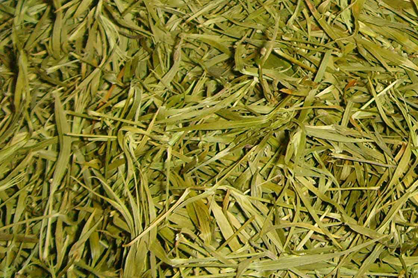 竹葉茶的功效及作用