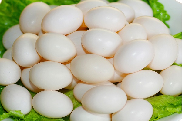 鴿子蛋的做法 鴿子蛋的營養價值