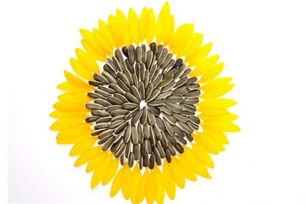 失眠難以入睡怎麼辦?葵花籽還你好睡眠