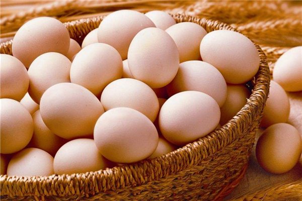 雞蛋