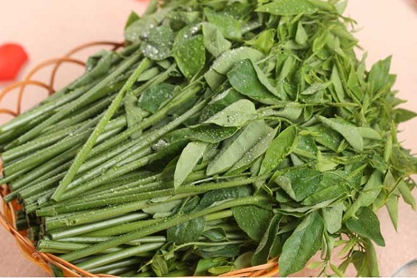 【孕婦能吃空心菜嗎】孕婦可以吃空心菜嗎_空心菜的營養價值 孕婦可以吃空心菜嗎 空心菜的營養價值