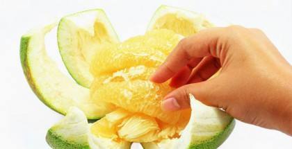 一種水果可能幹擾藥效_讓避孕藥失效