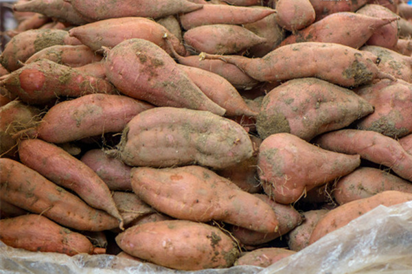 秋季多吃這三寶 養生價值超人參 紅薯