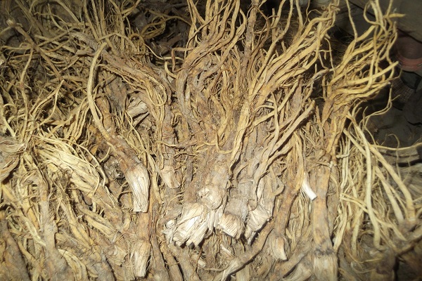 秦艽鱉甲散_鱉甲消痔膠囊 秦艽鱉甲散 鱉甲消痔膠囊