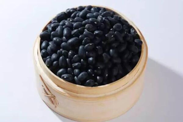 補腎食材吃得好 腎氣十足身體棒