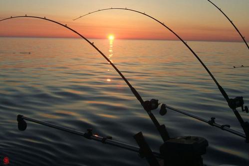 分享野外秋季釣魚技巧
