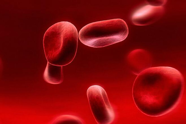 真性紅細胞增多癥的癥狀_真性紅細胞增多癥早期表現_什麼是真性紅細胞增多癥