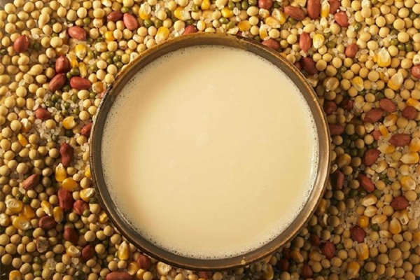 現磨豆漿好不好_喝豆漿要註意什麼嗎_什麼人不適合喝豆漿