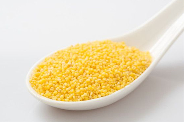 健脾養胃吃什麼_健脾養胃食療方 小米