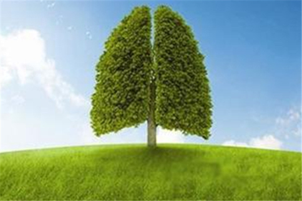 肺癌晚期能活多久?吃什麼抗癌?