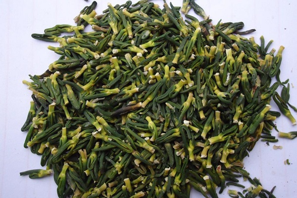 蓮子健康茶的功效 蓮子健康茶做法