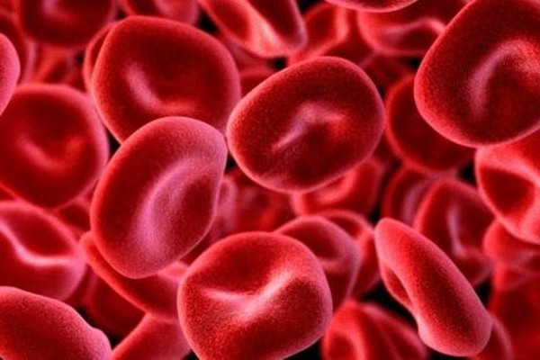 真性紅細胞增多癥怎麼調養_真性紅細胞增多癥怎麼吃_真性紅細胞增多癥要註意什麼