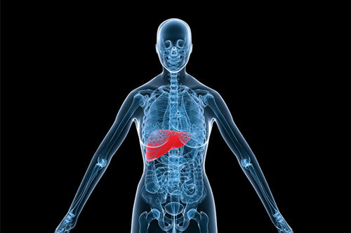 小夥6個月突發肝癌 都是這些早餐惹的禍?