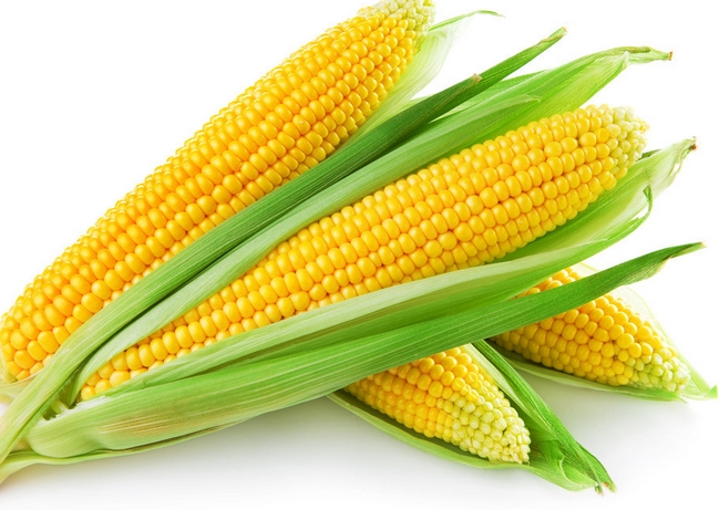 痛風吃玉米的好處是什麼