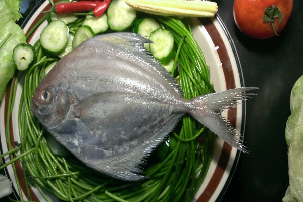 黑鯧魚的營養價值