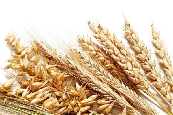 女人吃什麼有助睡眠 這些食物緩解失眠